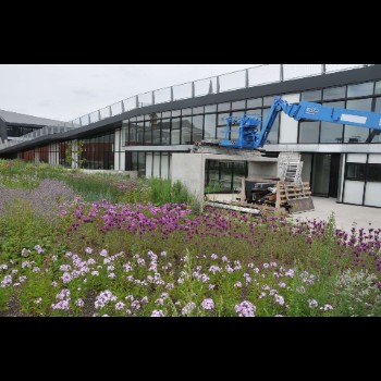 BIBLIOTHEEKTUIN - DENDERMONDE zomerbeeld (1)